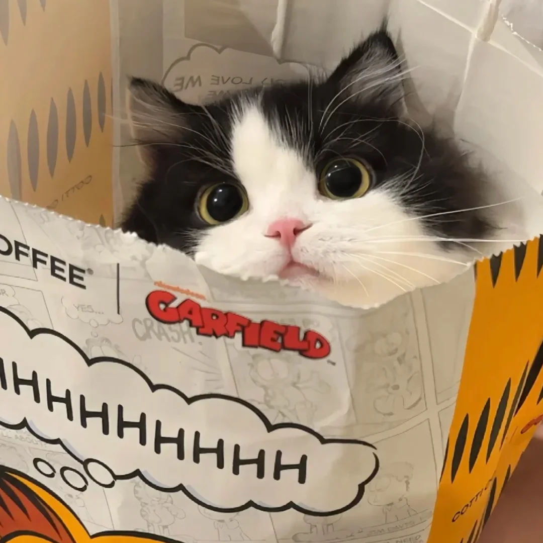  - About cat litter - 1