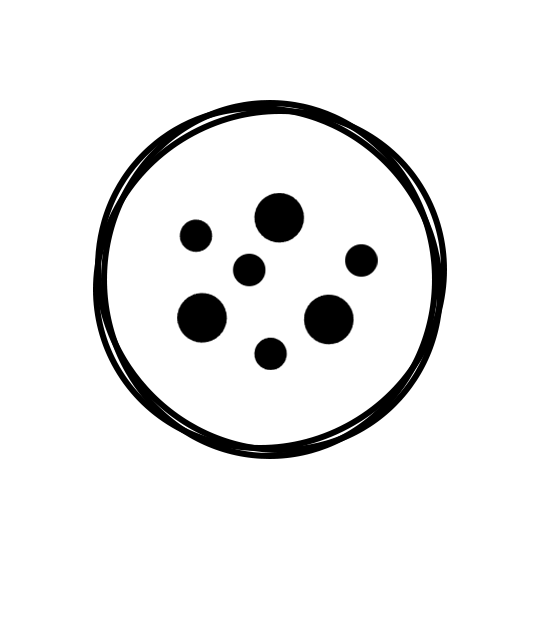 Home 1 2